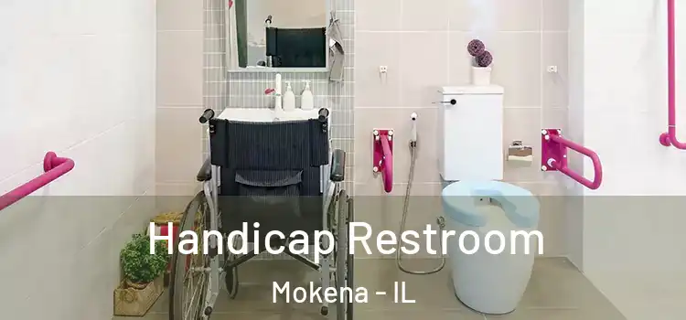  Handicap Restroom Mokena - IL