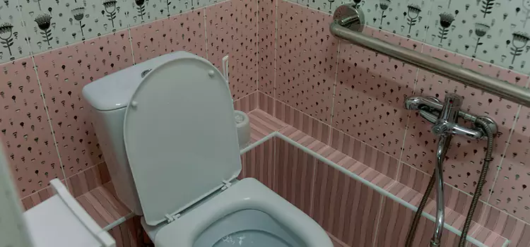 Meeting Diverse Needs With Accessible Restroom Solutions in Mokena, IL